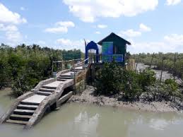 Complete List of Sundarban Watchtowers: Timings, Entry Fee & Tiger Sightings